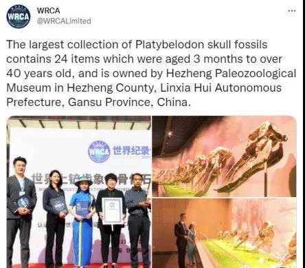 临夏地质公园和政古动物化石博物馆获WRCA世界纪录认证