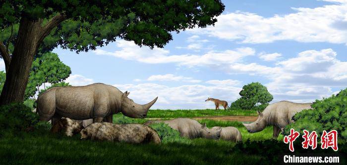 非洲和伊朗这两种犀牛的“祖先”找到了！在中国临夏盆地